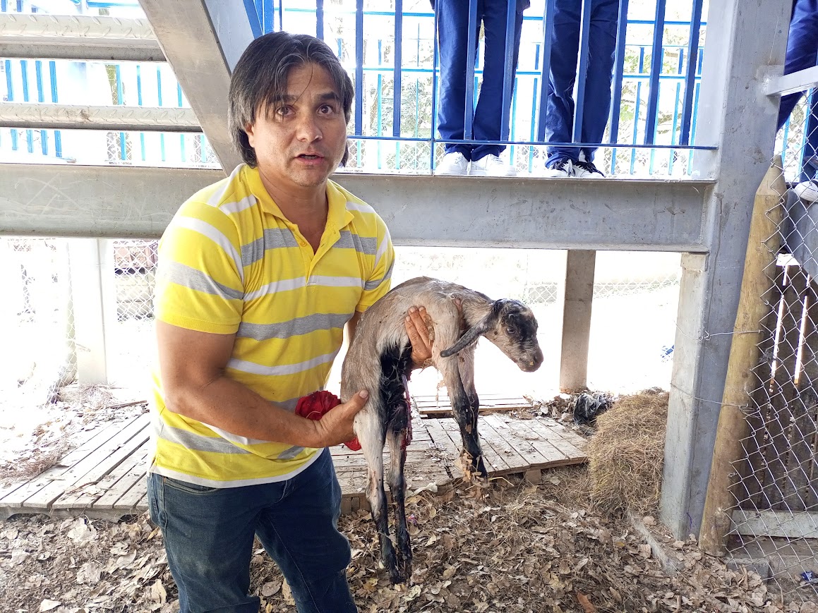 Jorge Upegui